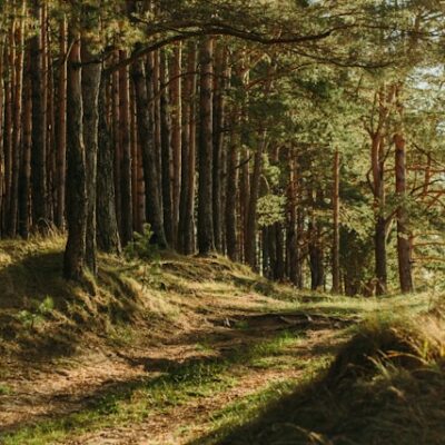 The Impact of Bitcoin Mining on Climate: Myths and Reality