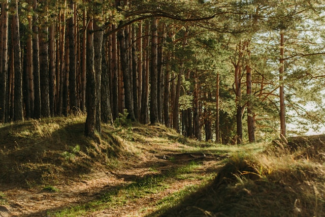 The Impact of Bitcoin Mining on Climate: Myths and Reality