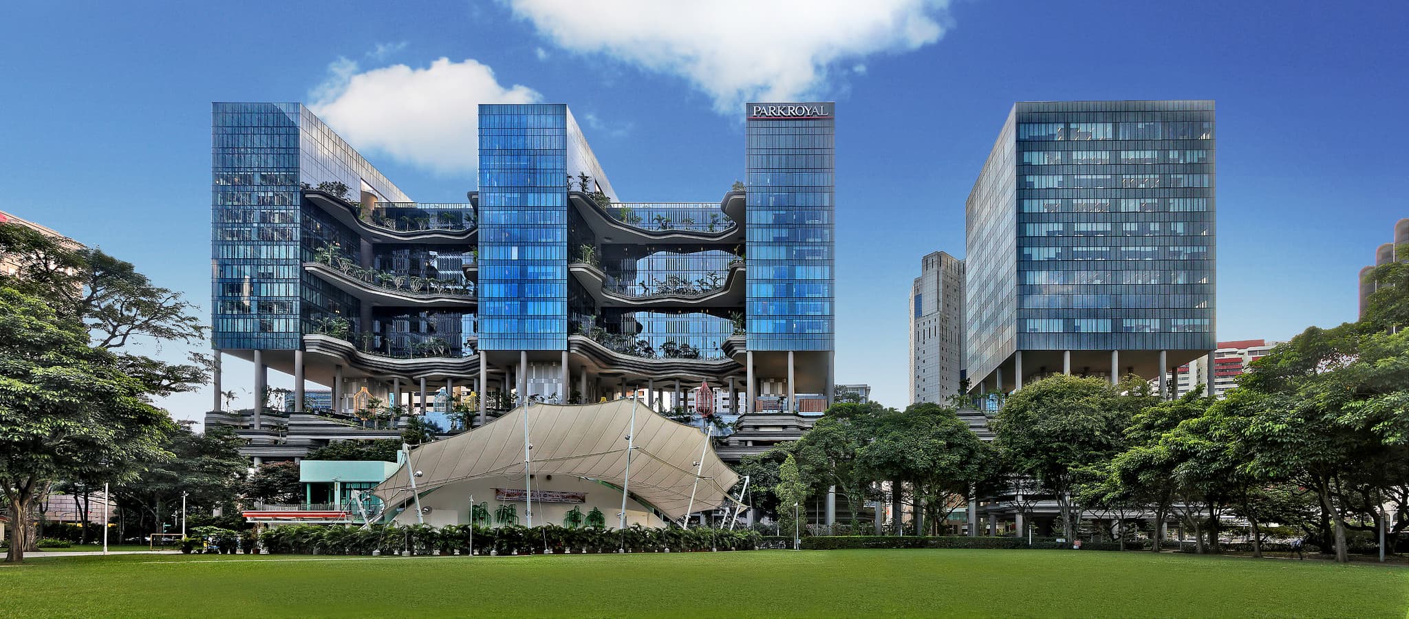 Cities and Ecology